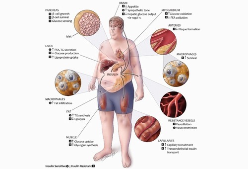 اهمیت بیماری های متابولیک 